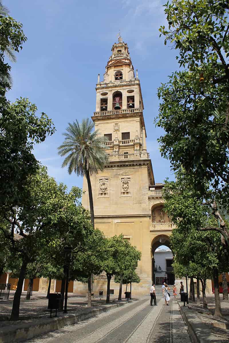 Seville Cathedral and Giralda above the historic centre